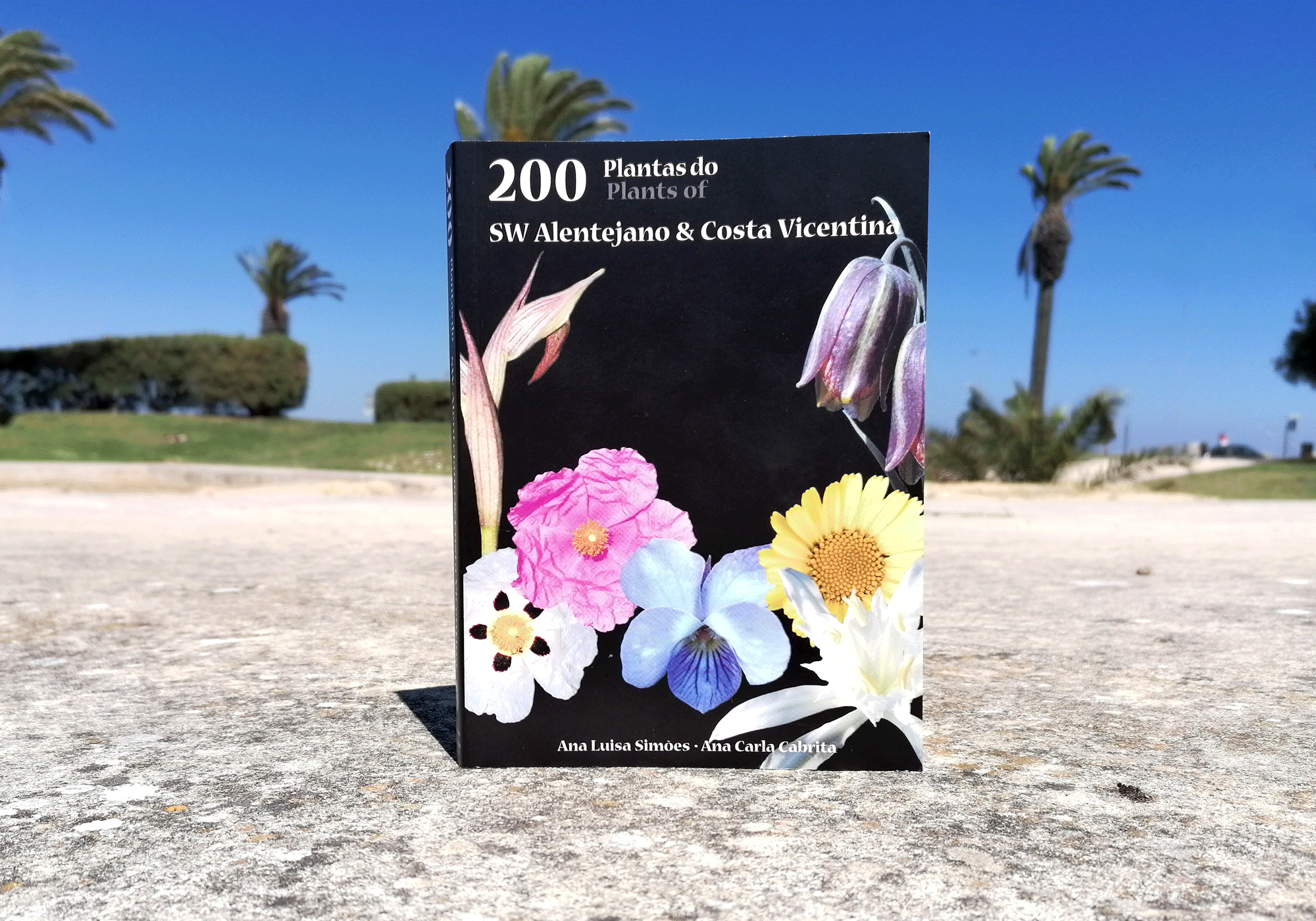 200-plantas-sw-alentejano-e-costa-vicentina